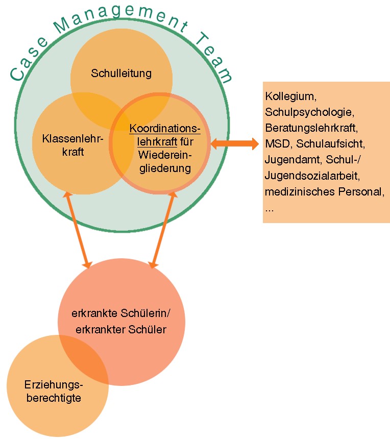 grafische Darstellung des Case Managements mit Erweiterung durch die Koordinationslehrkraft für Wiedereingliederung